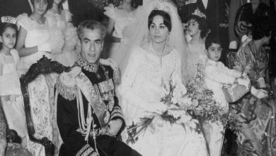 نتفیلکس که جزء غول های فیلم سازی محسوب می شود، قرار است سریال آخرین شاه (The Last Shah) را بسازد. این سریال درباره محمدرضا پهلوی و همسرش فرح دیبا است.